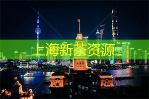 爱上海：你可以尽情领略茶乐之旅的魅力