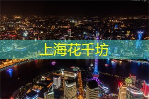 适合家庭的上海夜间游乐场