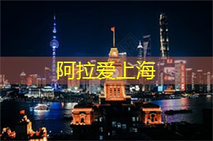 交织城市与自然的护航夜